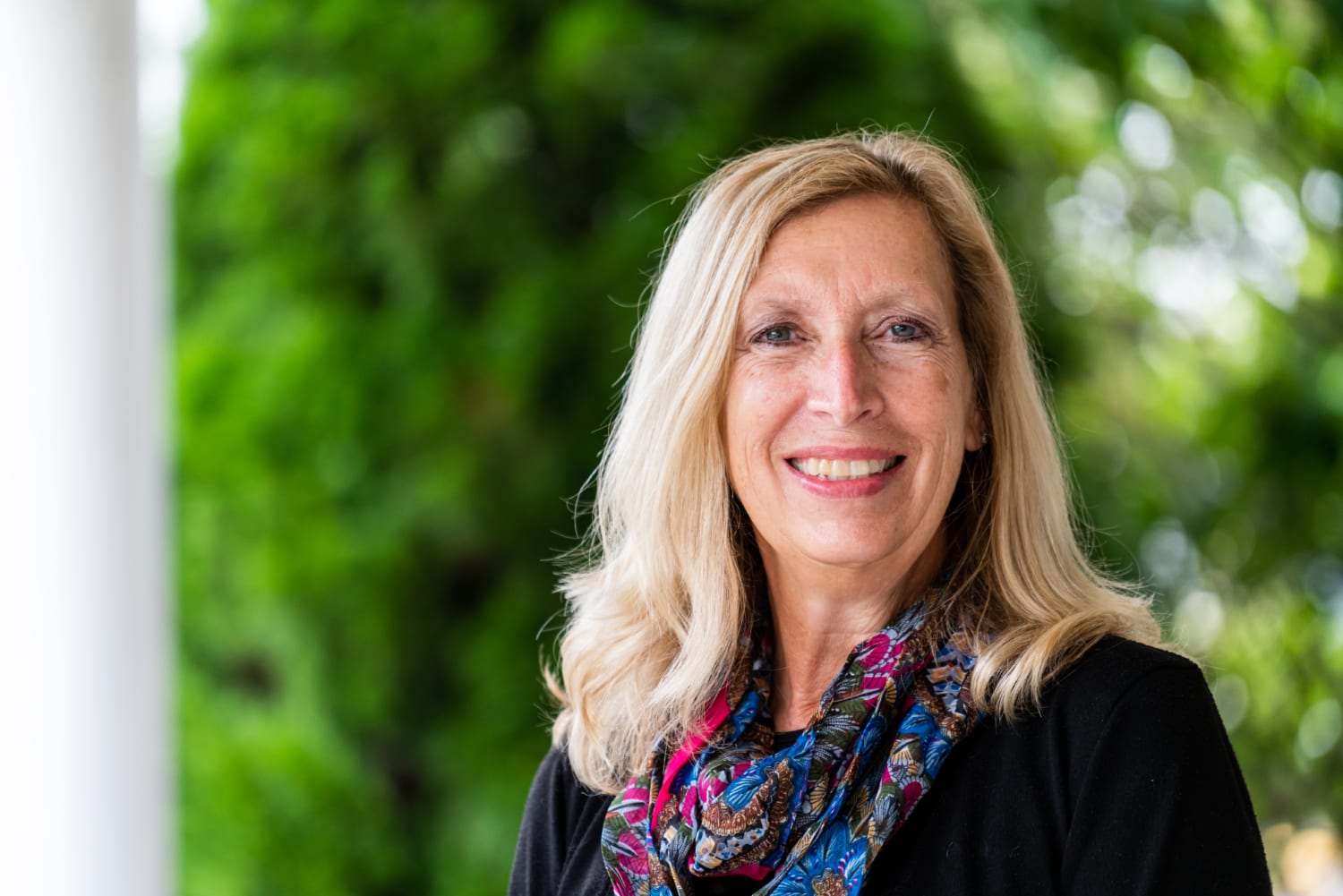 Meet The Team Lewis Dental Group