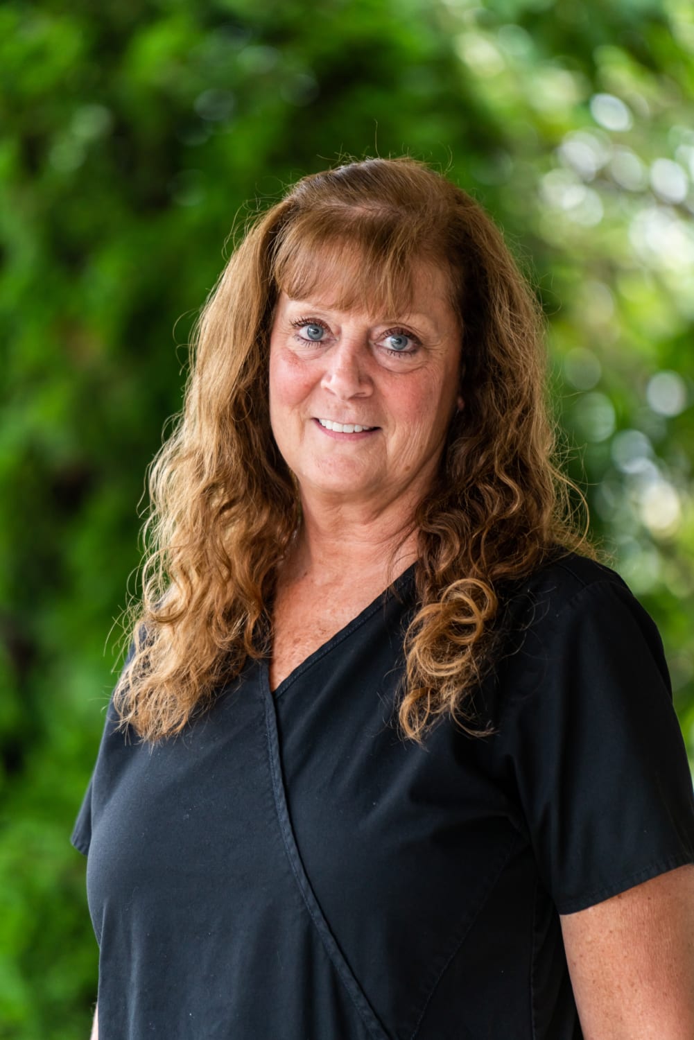 Meet The Team Lewis Dental Group