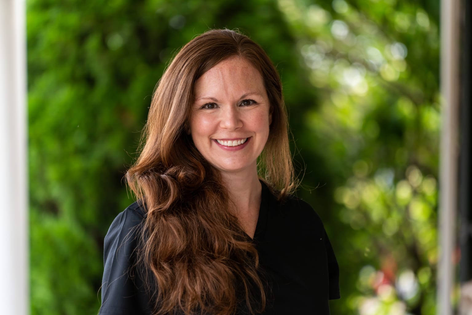 Meet The Team Lewis Dental Group